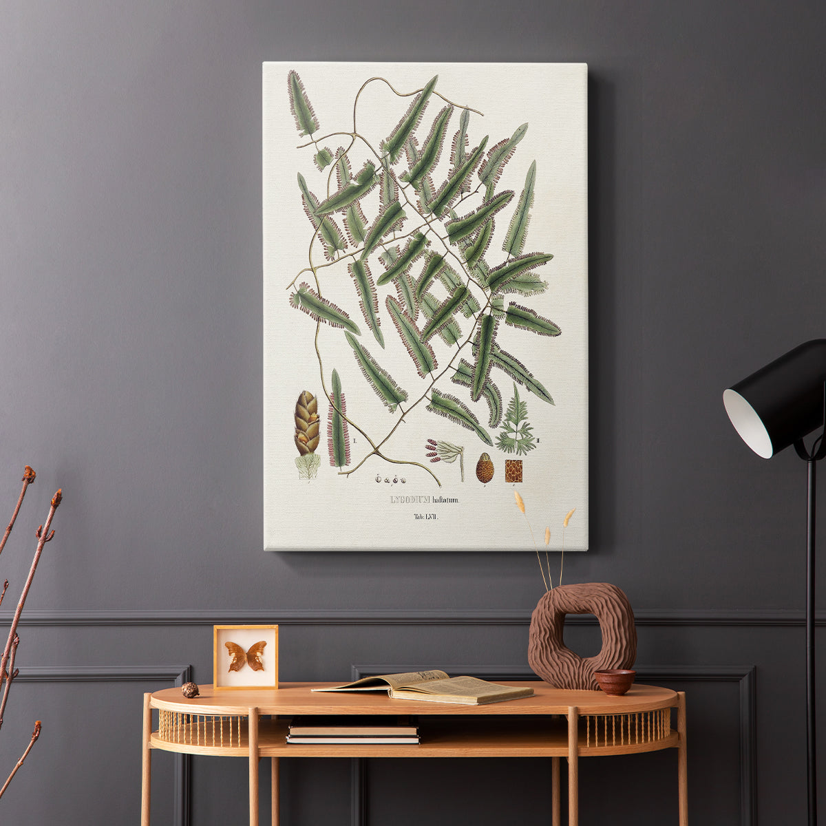 Botanical Society Ferns X - Canvas Art Print