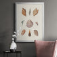 Knorr Shells & Coral VI - Modern Framed Canvas Print