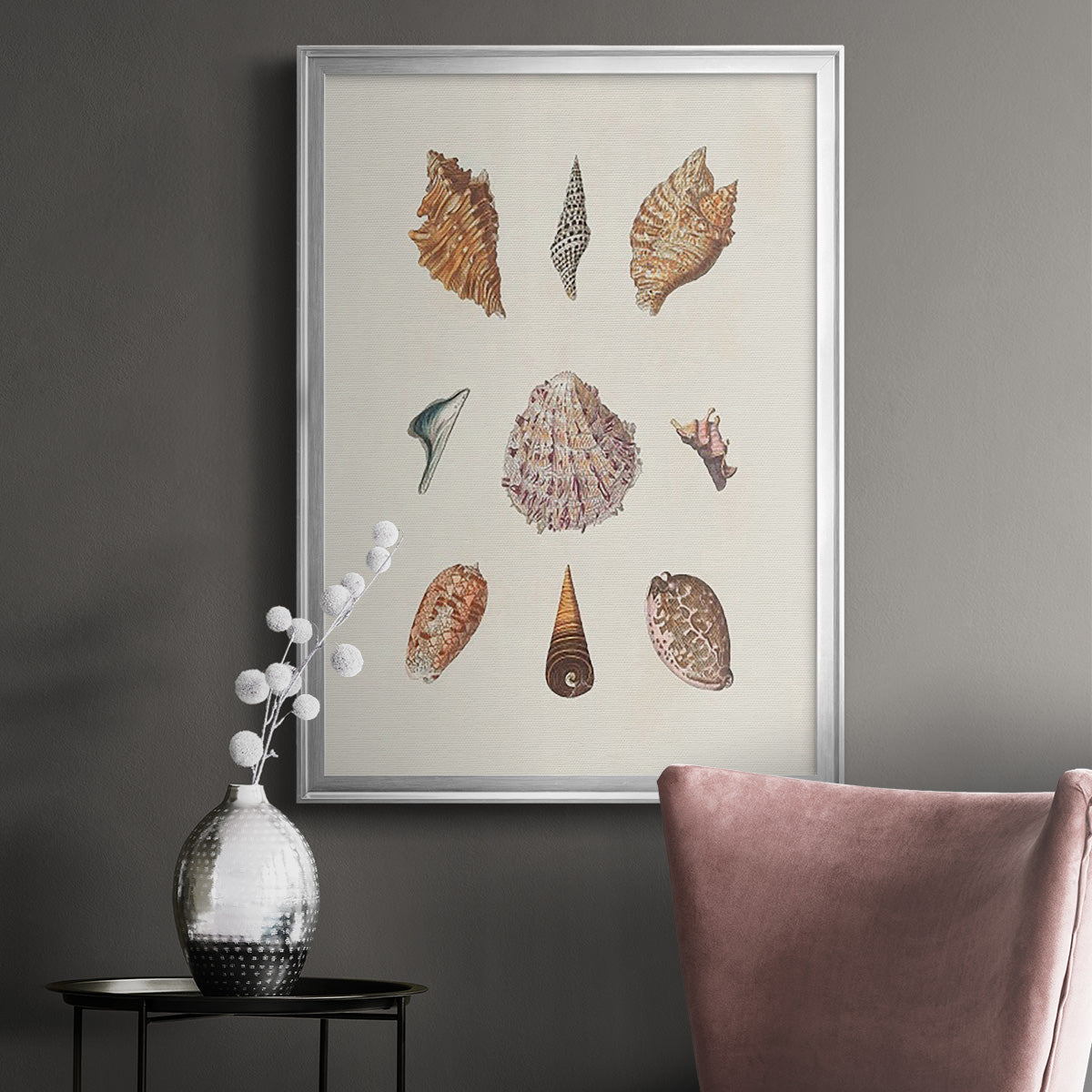Knorr Shells & Coral VI - Modern Framed Canvas Print