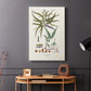 Botanical Society Ferns VIII - Canvas Art Print