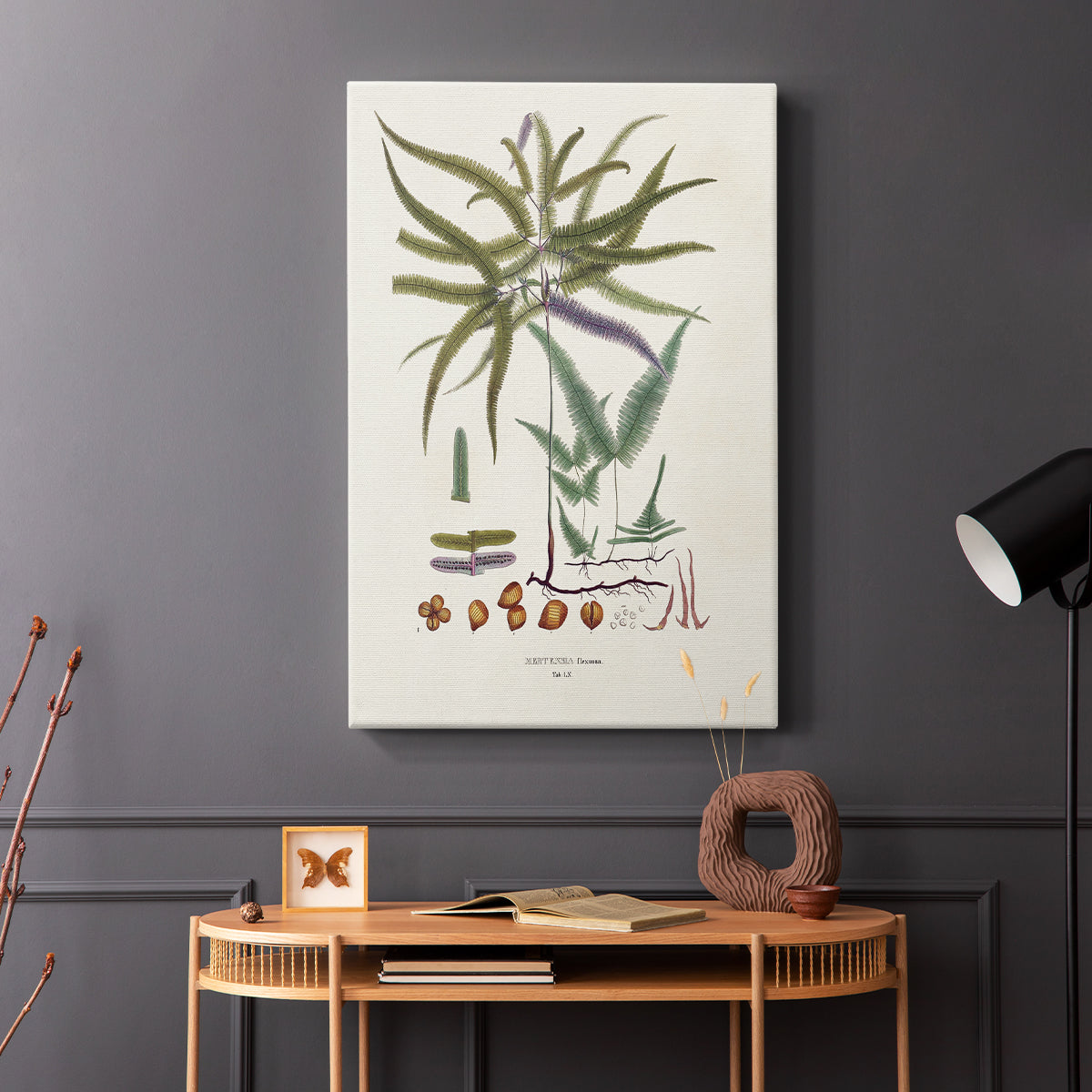 Botanical Society Ferns VIII - Canvas Art Print