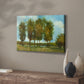 Tall Trees - Canvas Art Print