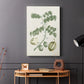 Buchoz Tropicals II - Canvas Art Print