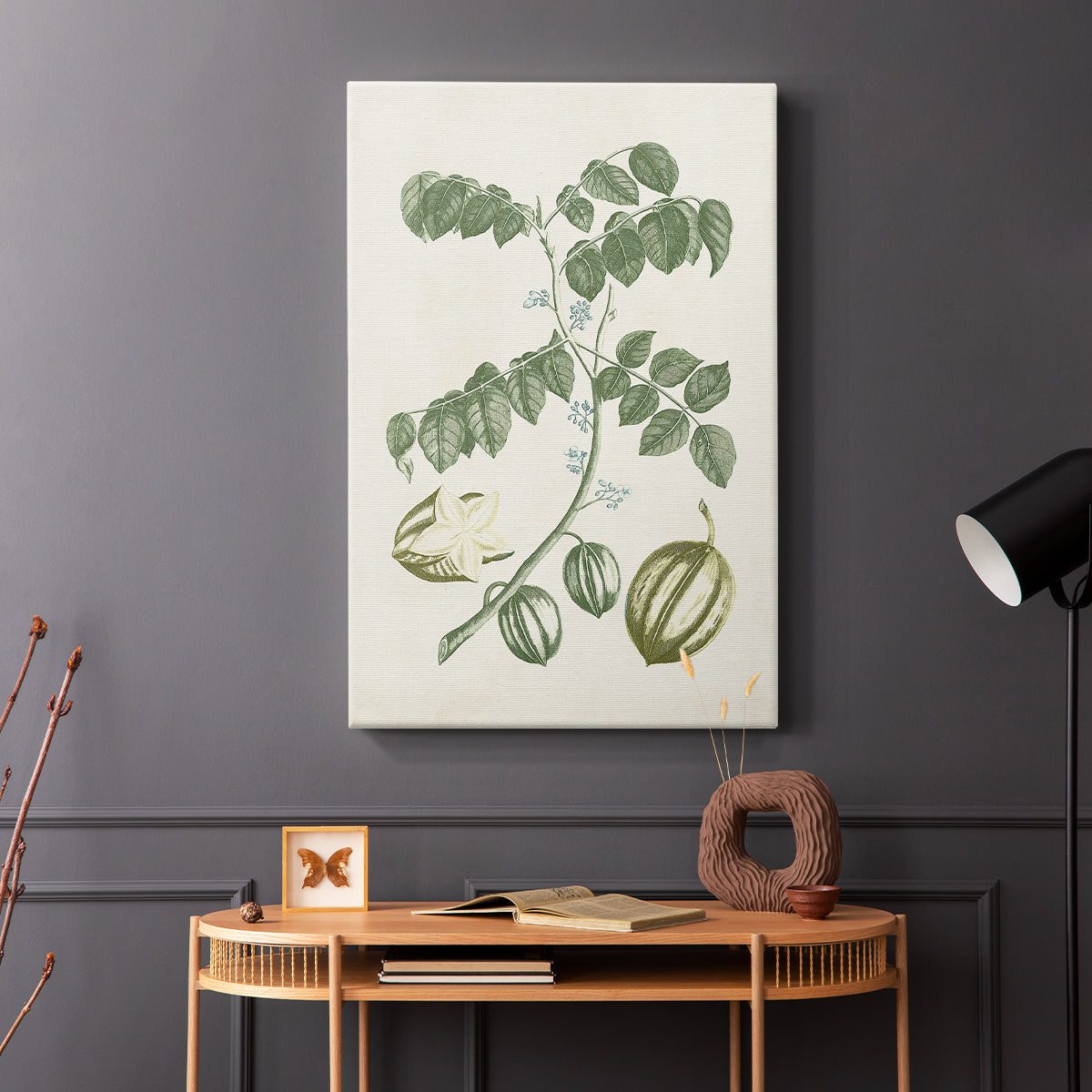 Buchoz Tropicals II - Canvas Art Print