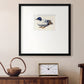 White and Blue Mallard Premium Framed Print Double Matboard