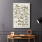 Sepia Botanical Journal II - Canvas Art Print