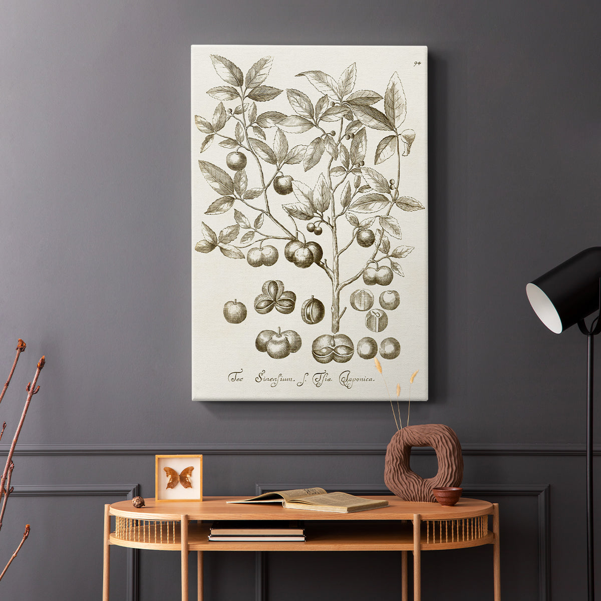 Sepia Botanical Journal II - Canvas Art Print