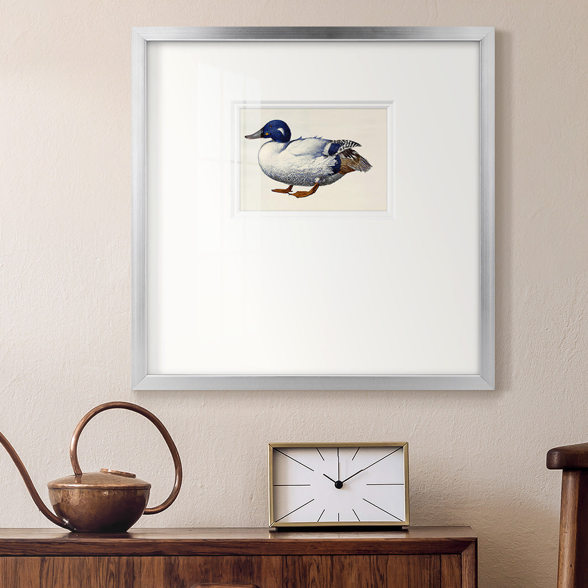 White and Blue Mallard Premium Framed Print Double Matboard