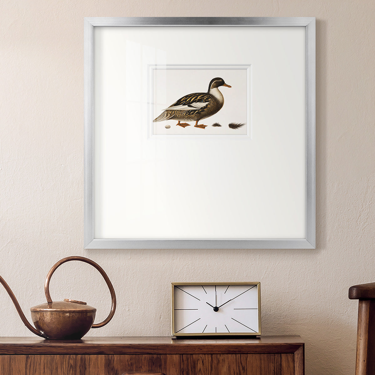 Golden Mallard Premium Framed Print Double Matboard