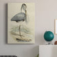 Embellished Antique Heron IV (ASH) Premium Gallery Wrapped Canvas - Ready to Hang