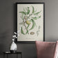 Antique Almond Botanical IV - Modern Framed Canvas Print