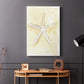 Salty Seashell I - Canvas Art Print