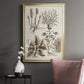 Sepia Botanical Journal VII - Modern Framed Canvas Print