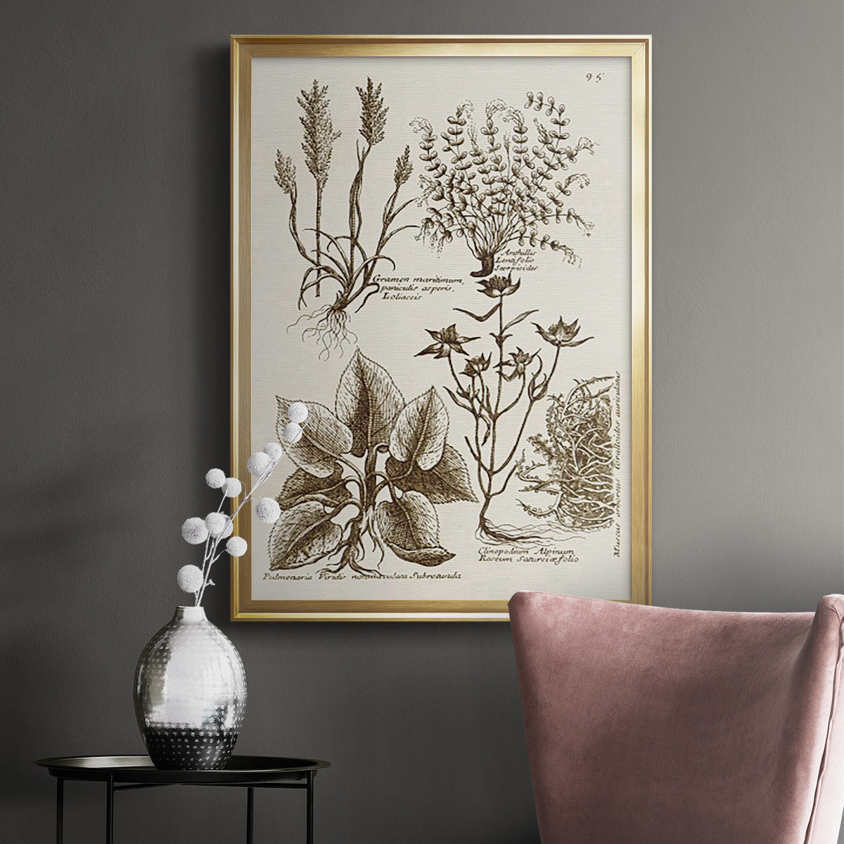 Sepia Botanical Journal VII - Modern Framed Canvas Print