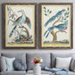 Pastel Birds V - Premium Framed Canvas 2 Piece Set - Ready to Hang