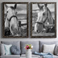 Set of two black barnwood framed canvas prints depicting paired modern equestrian photography with bridled faces, wooden rails, and softly blurred farm backgrounds above a sofa in a contemporary living room.