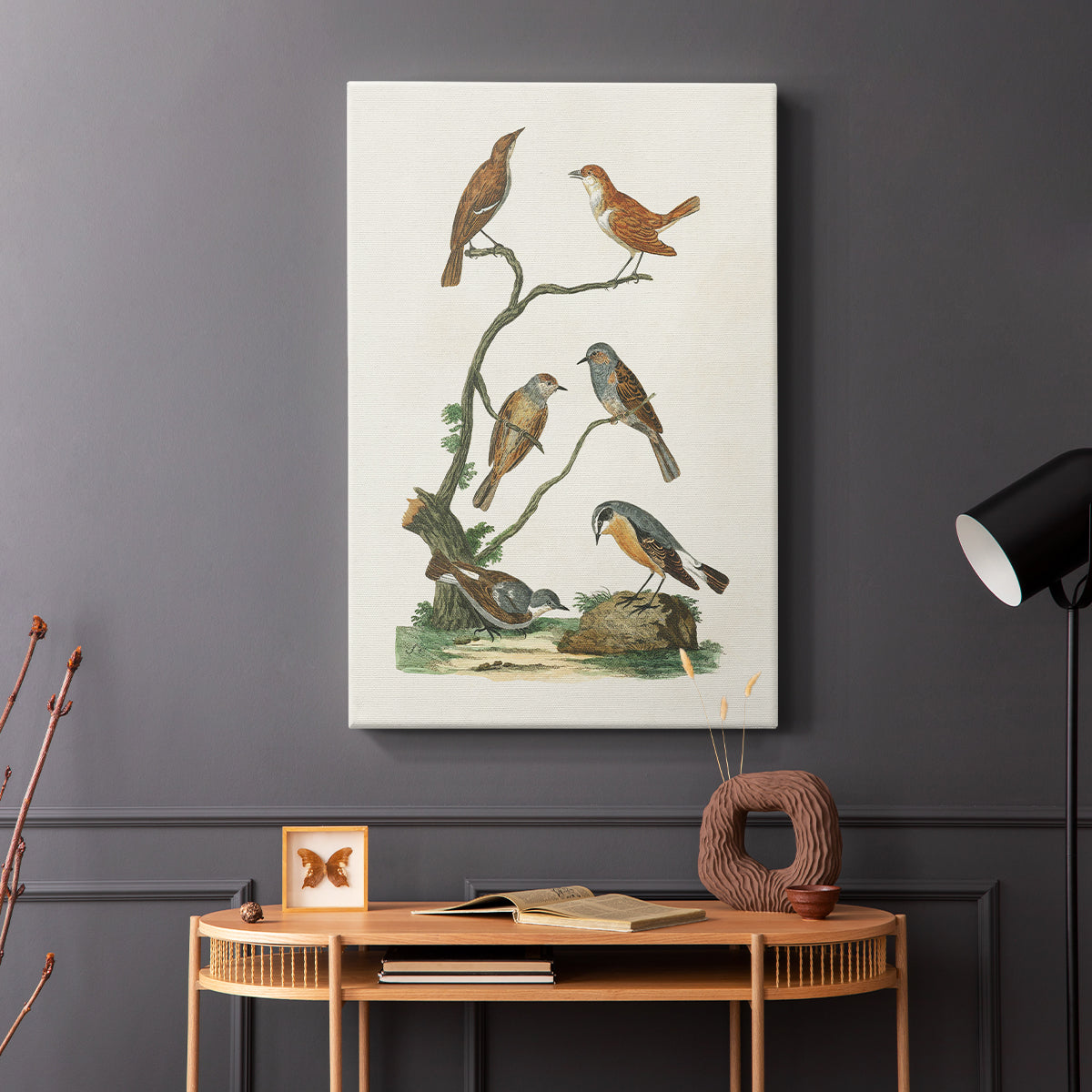 Antique Birds in Nature IV - Canvas Art Print