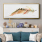 Tail Feather IV - Floater Framed Canvas Print