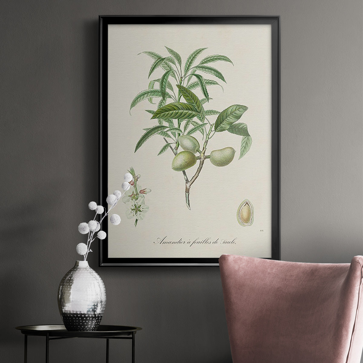 Antique Almond Botanical II - Modern Framed Canvas Print