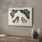 Crackled Butterflies III - Canvas Art Print