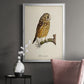 French Owls II - Modern Framed Canvas Print