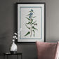 Shabby Chic Botanical I - Modern Framed Canvas Print