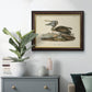 Audubons Brown Pelican - Ornate Framed Canvas Print