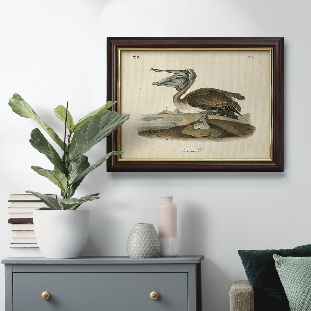 Audubons Brown Pelican - Ornate Framed Canvas Print