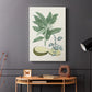 Buchoz Tropicals IV - Canvas Art Print