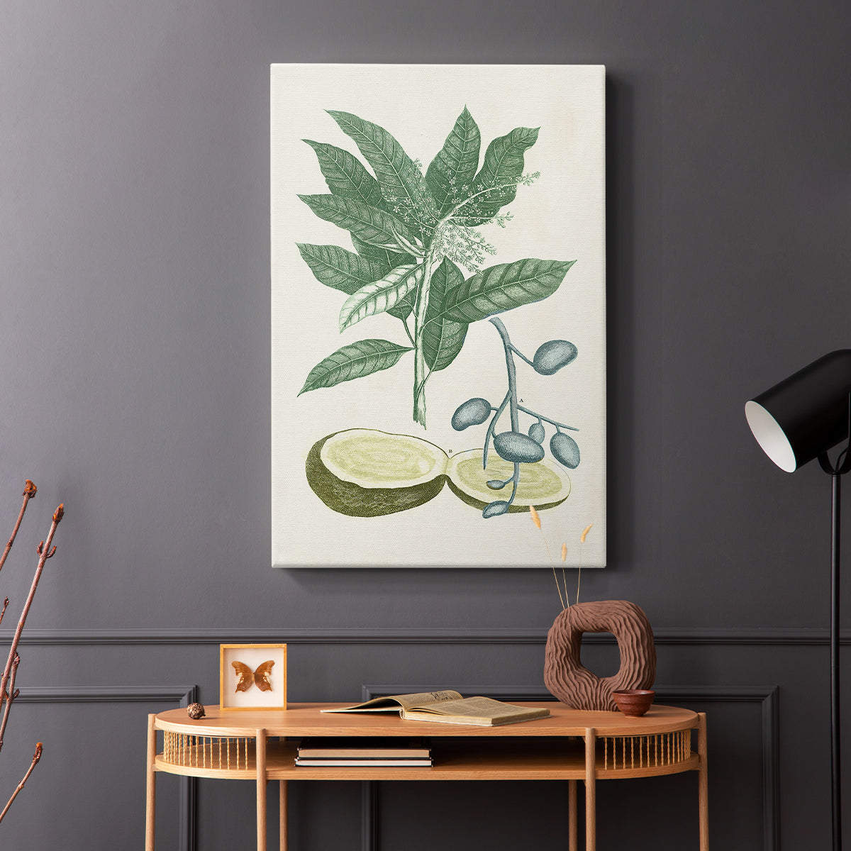 Buchoz Tropicals IV - Canvas Art Print