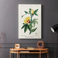Turpin Tropical Botanicals VI - Canvas Art Print