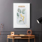 Nature Jar I - Canvas Art Print