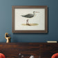 Morris Sandpipers I Premium Framed Canvas- Ready to Hang