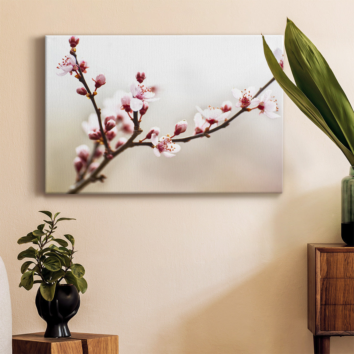 Cherry Blossom Study I Premium Gallery Wrapped Canvas - Ready to Hang