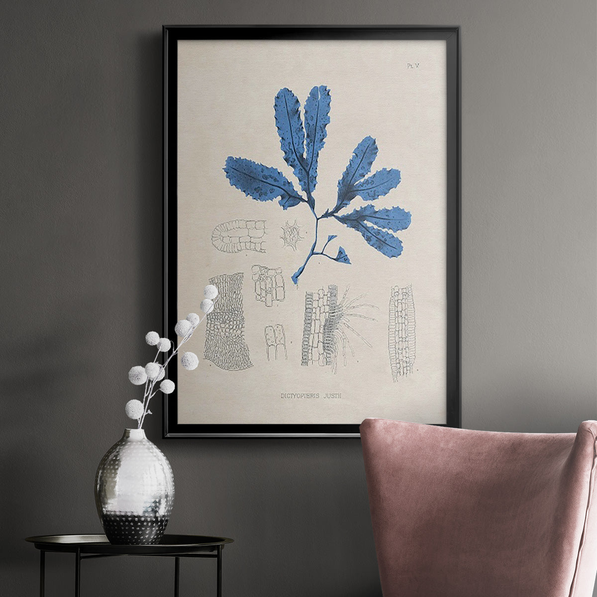 Blue Marine Algae VII - Modern Framed Canvas Print