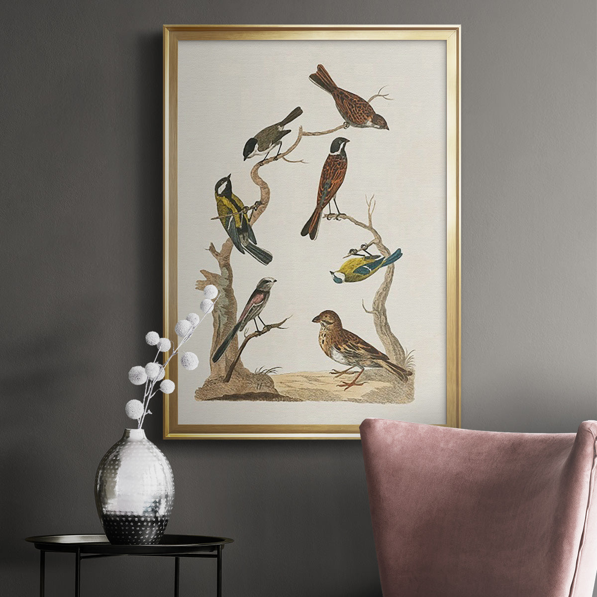 Antique Birds in Nature II - Modern Framed Canvas Print