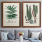 Set of two maple barnwood framed canvas prints depicting paired natural-history fern plates with varied green fronds, roots, spores, and archival labels above a sofa in a contemporary living room.