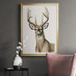 Handsome Whitetail I - Modern Framed Canvas Print