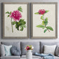 Set of two gray barnwood framed canvas prints depicting paired vintage botanical plate illustrations with peonies thistles leafy stems and archival cream paper above a sofa in a contemporary living room.