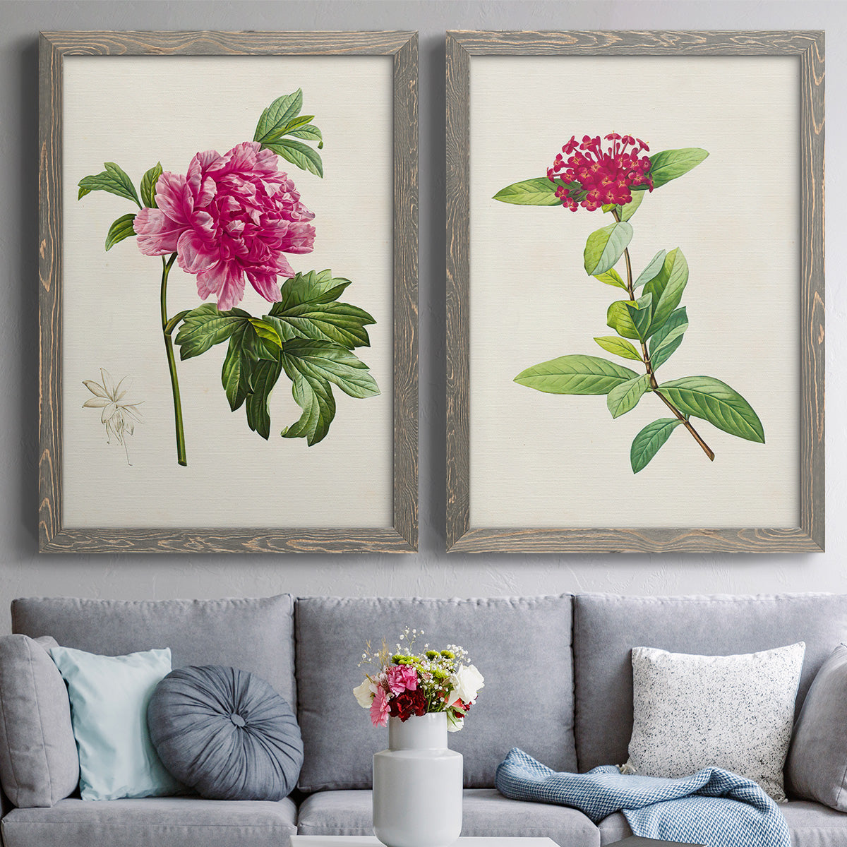 Set of two gray barnwood framed canvas prints depicting paired vintage botanical plate illustrations with peonies thistles leafy stems and archival cream paper above a sofa in a contemporary living room.