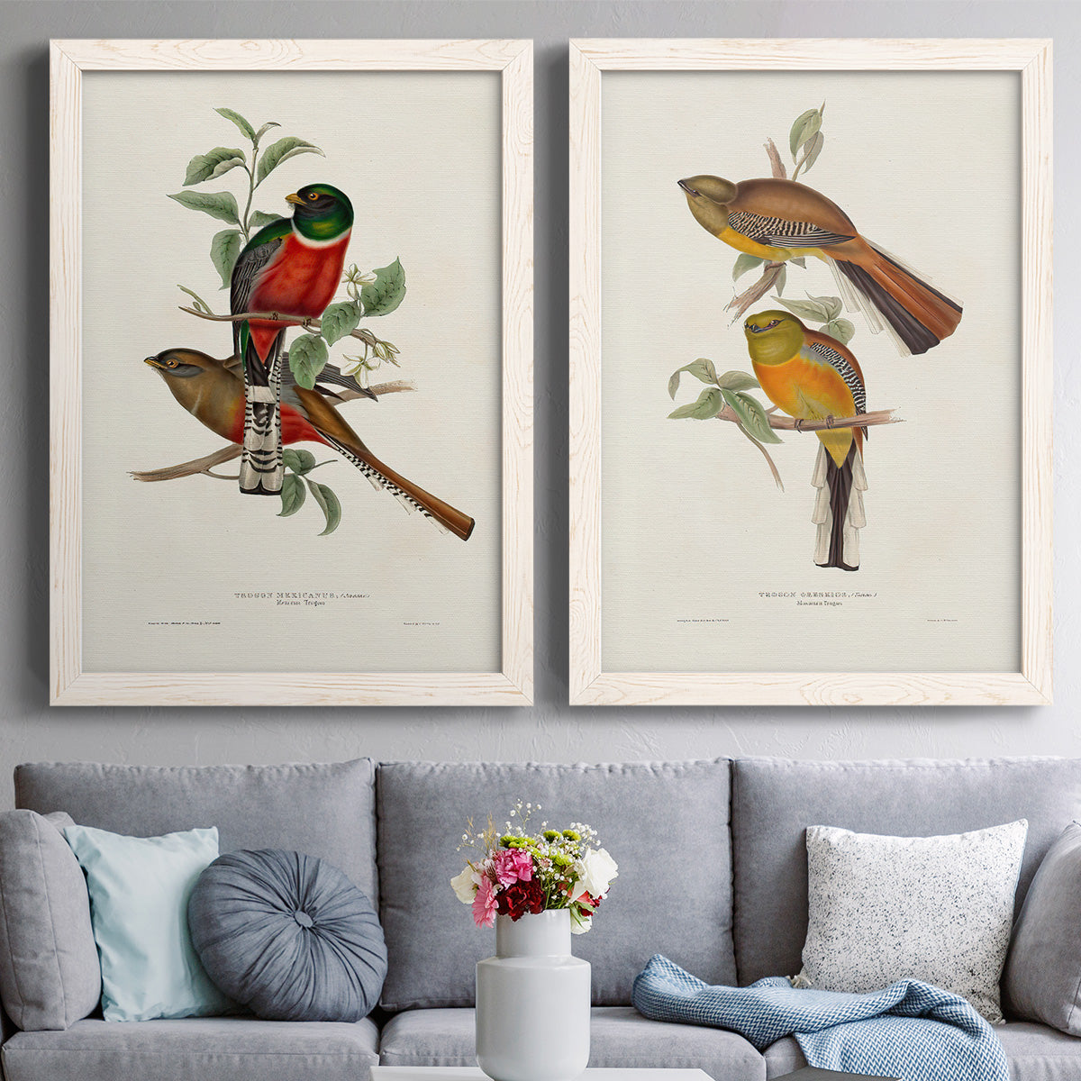 Elegant Trogons I - Premium Framed Canvas 2 Piece Set - Ready to Hang