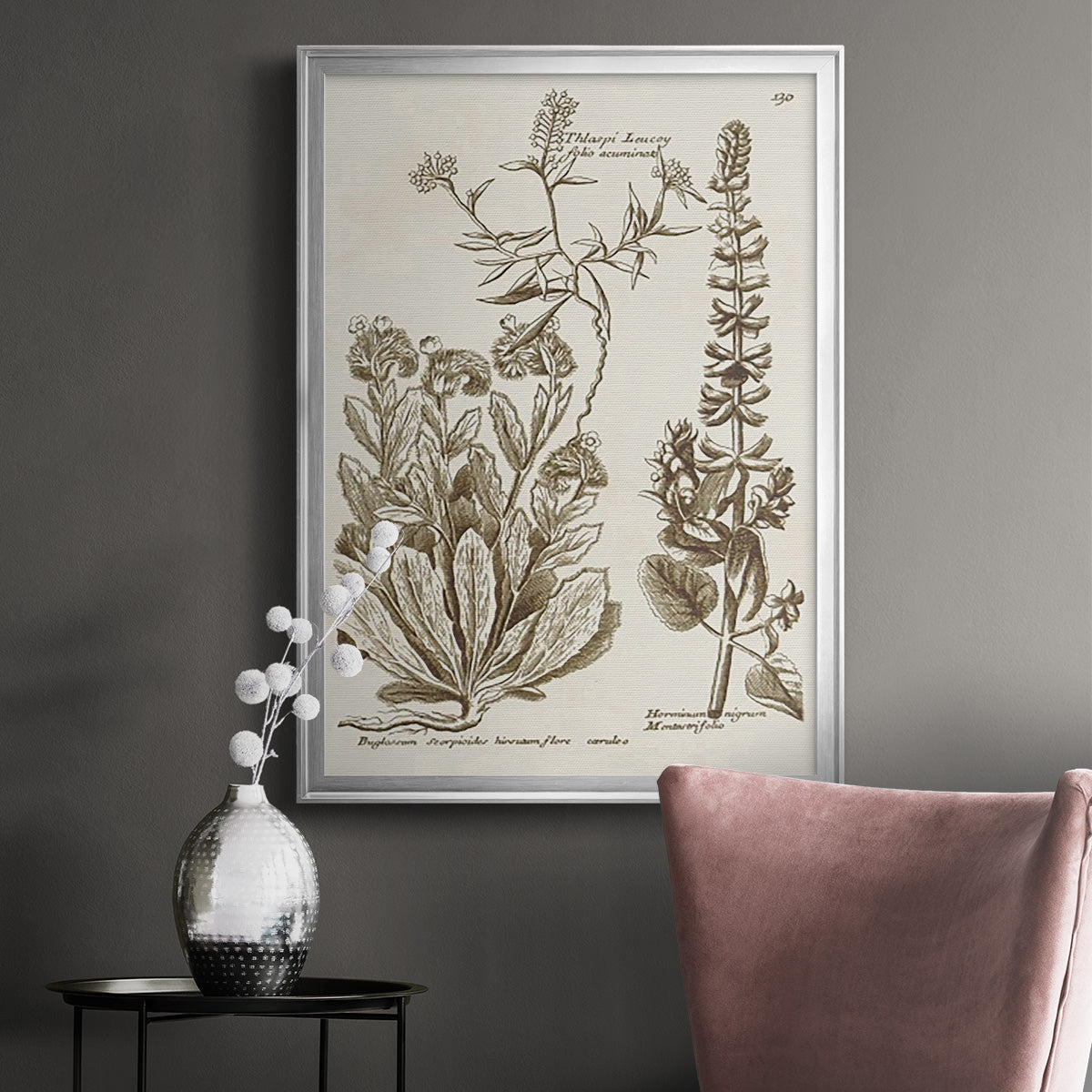 Sepia Botanical Journal IV - Modern Framed Canvas Print