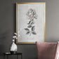 Vintage Botanical II - Modern Framed Canvas Print