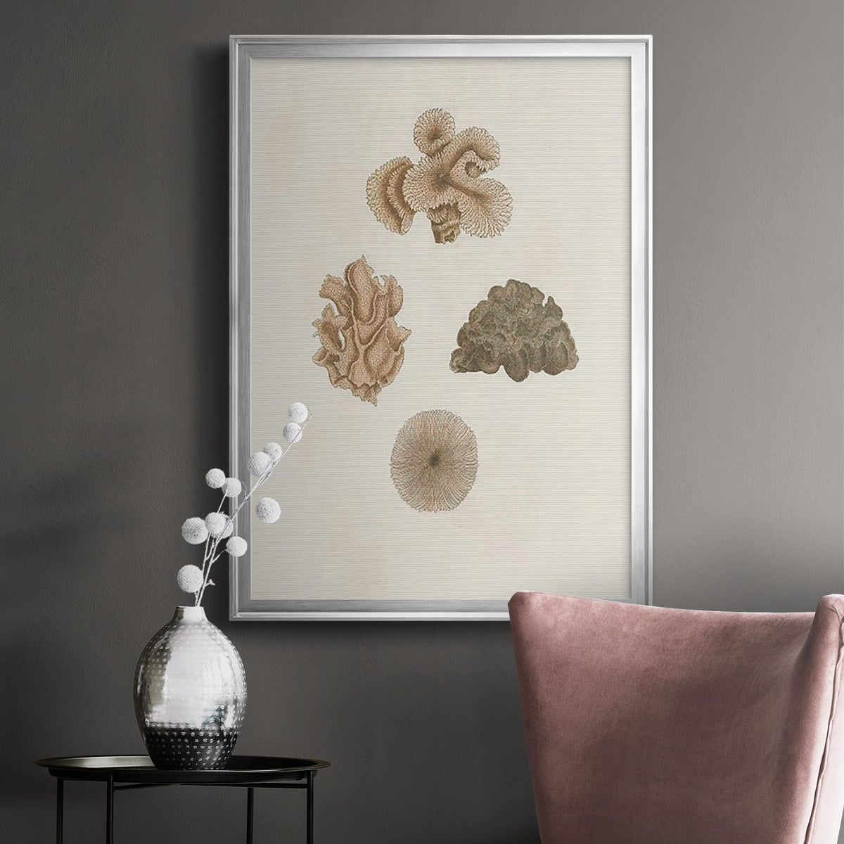 Knorr Shells & Coral VIII - Modern Framed Canvas Print