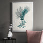 Antique Coastal Coral VI - Modern Framed Canvas Print