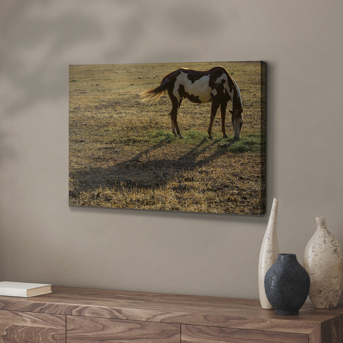 Long Shadow - Canvas Art Print