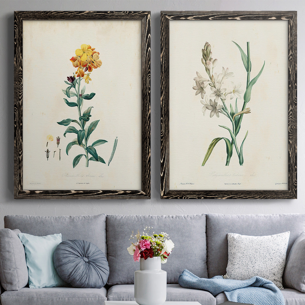 Traditional Botanical III - Premium Framed Canvas 2 Piece Set - Ready to Hang