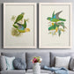 Lime & Cerulean Parrots I - Barnwood Framed Canvas Set
