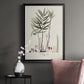 Botanical Society Ferns XI - Modern Framed Canvas Print