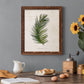 Palm Botanical II - Premium Canvas Framed in Barnwood - Ready to Hang